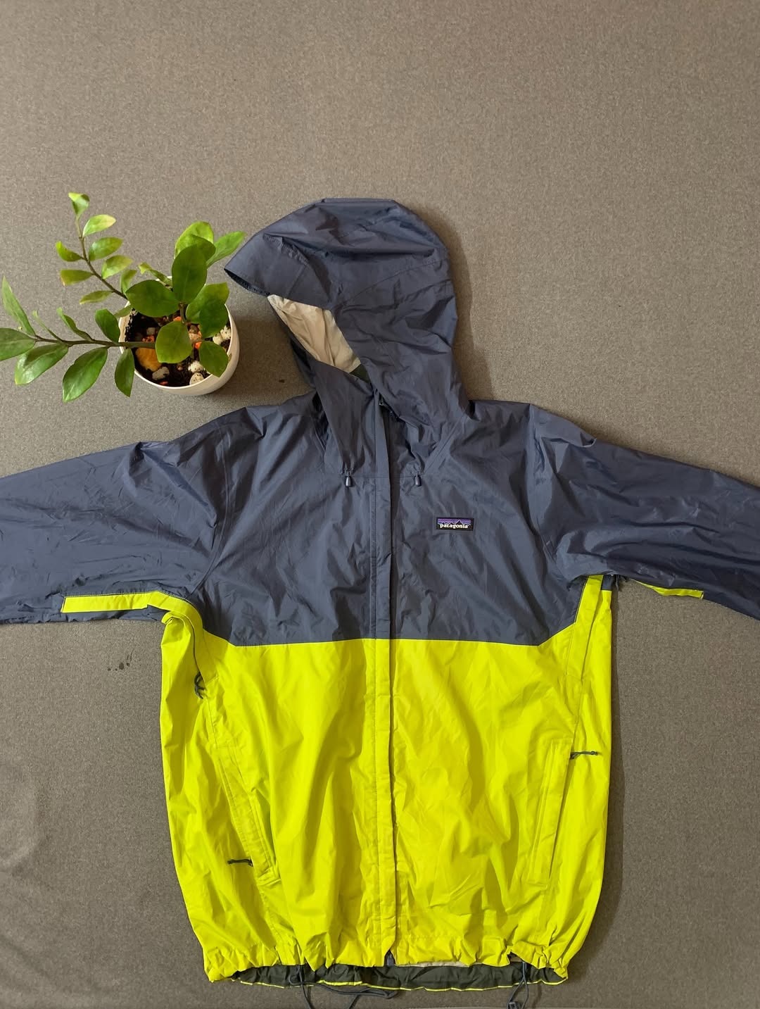 PANTAGONNIA GREEN & - Waterproof Windcheater Jacket | Unisex Outdoor Wear