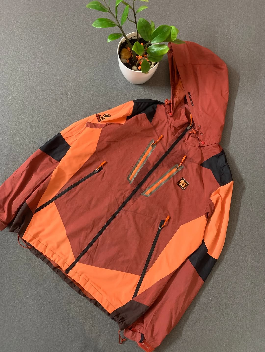 New Arrival